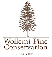 Wollemi Pine Conservation Europe