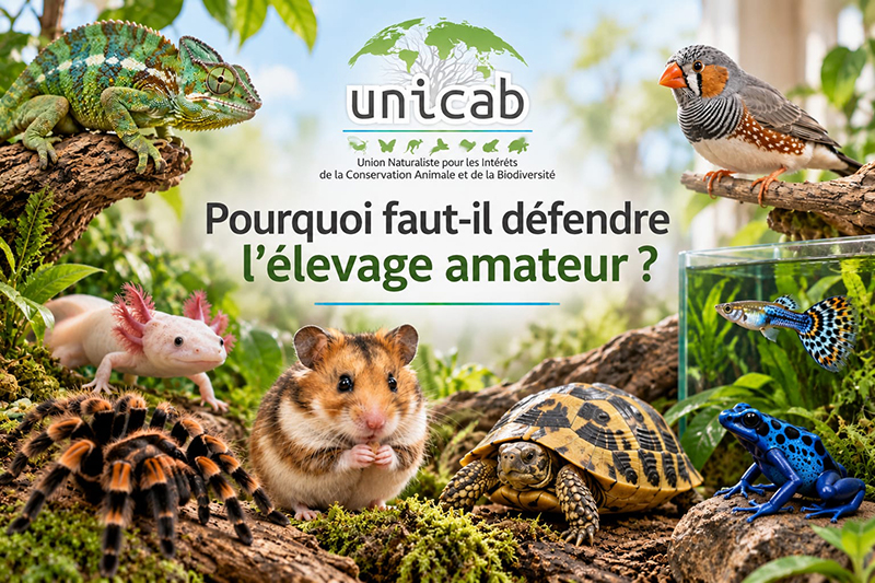 La défense de l'élevage amateur