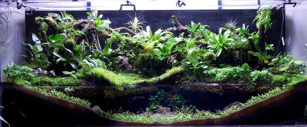 terrarium